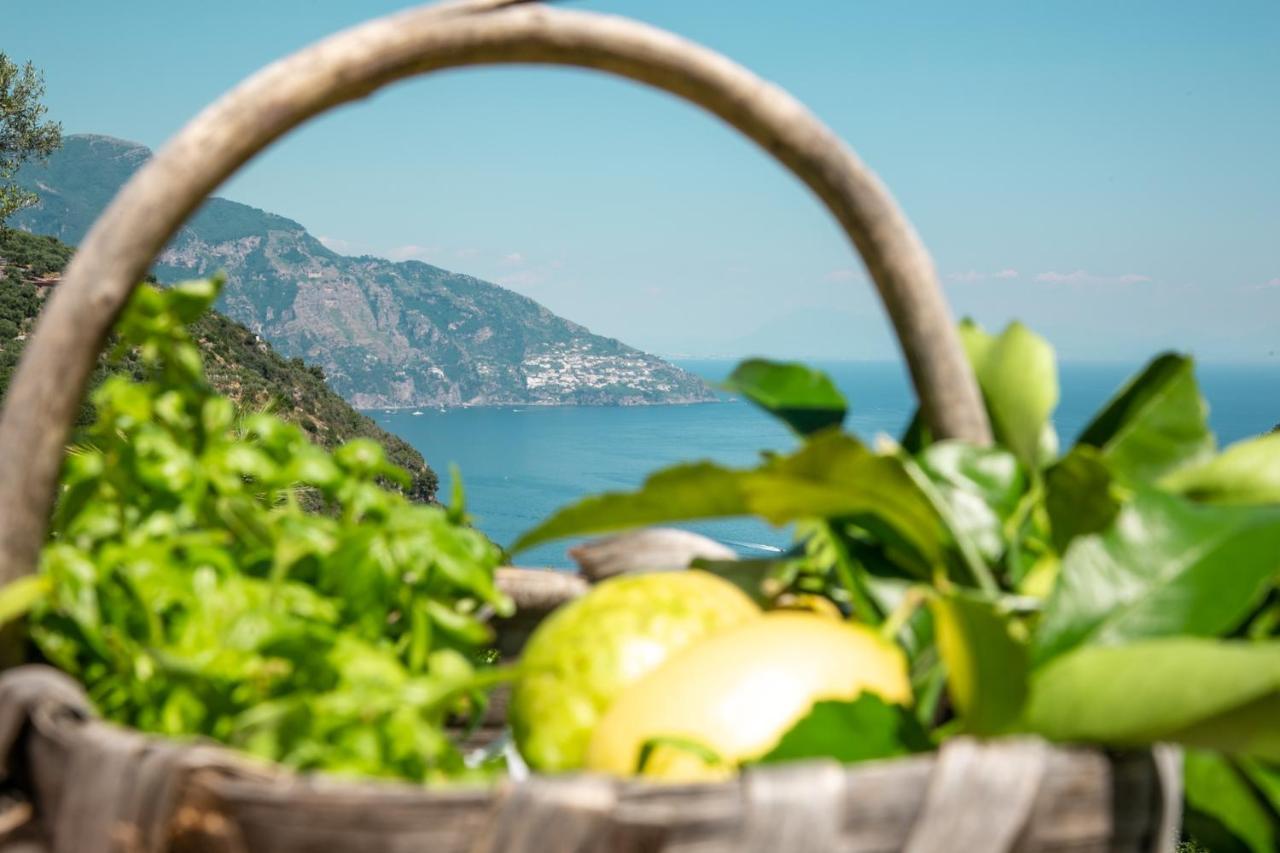 Costanza Sorrento *