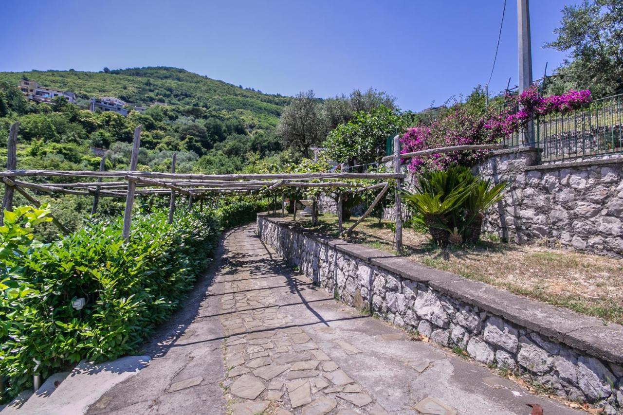 Frühstückspension Costanza Sorrento Sant'Agnello